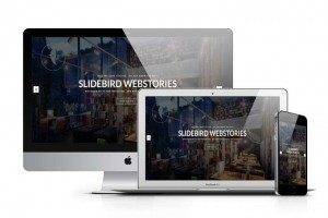 Responsive Webdesign Mock Up Slidebird Online Marketing & Webdesign